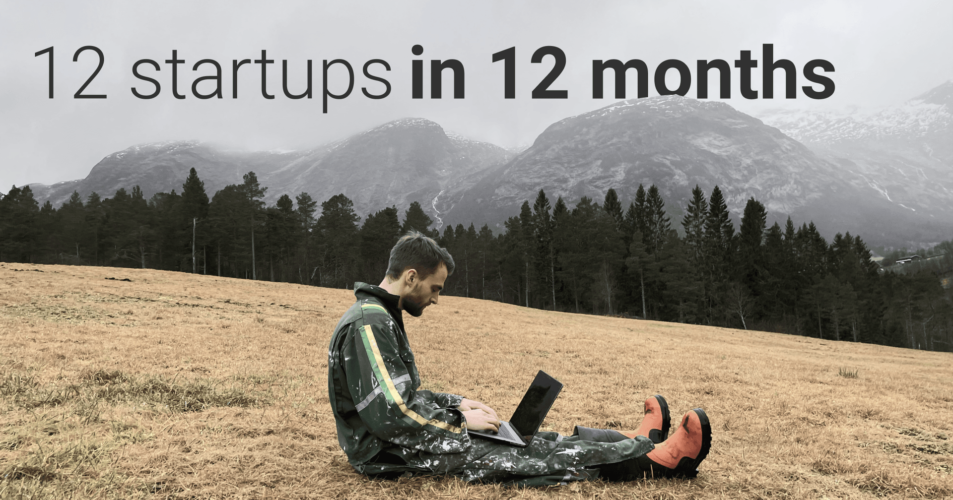 12 startups in 12 months