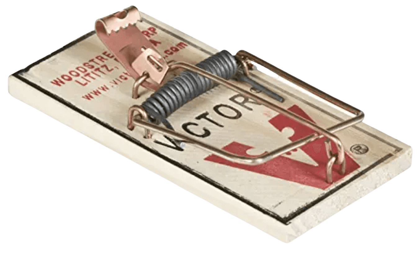 Old, traditional mouse trap