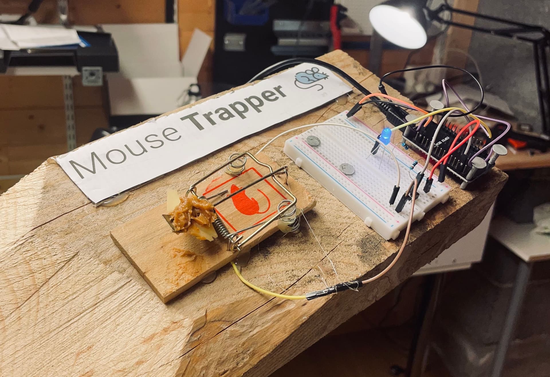 Internet connected mouse trap